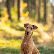 Poem z Hod�jovsk�ch str�n� (foto Jakub Kruli�)